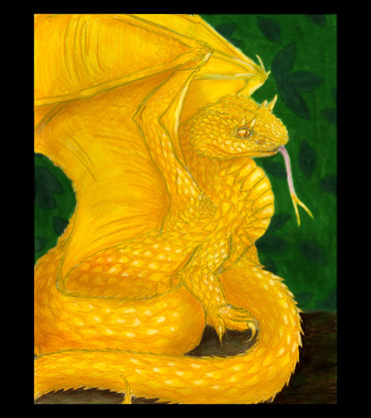 Eyelash Viper Fangs Image Pictures Becuo