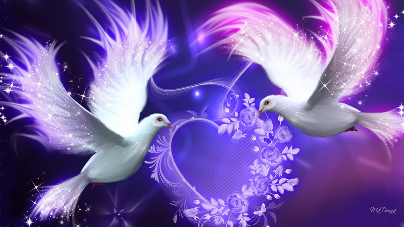 Bright Valentine Purple Doves Animals Birds HD Desktop Wallpaper