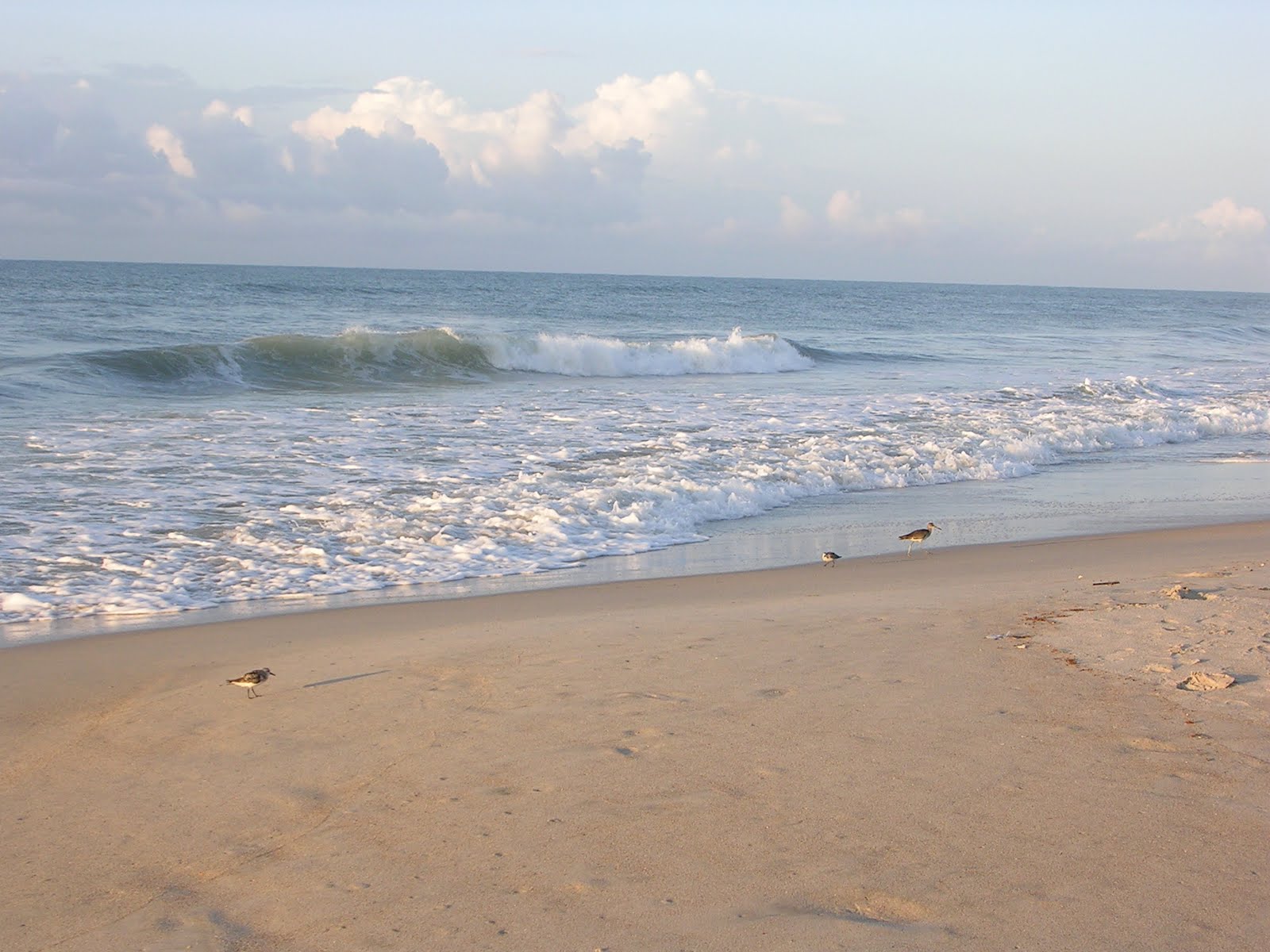 North Carolina Beaches Best In Uptake
