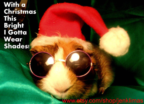 5pc Guinea Pig Christmas Mag Gift Set Sunglass Wearing Santa