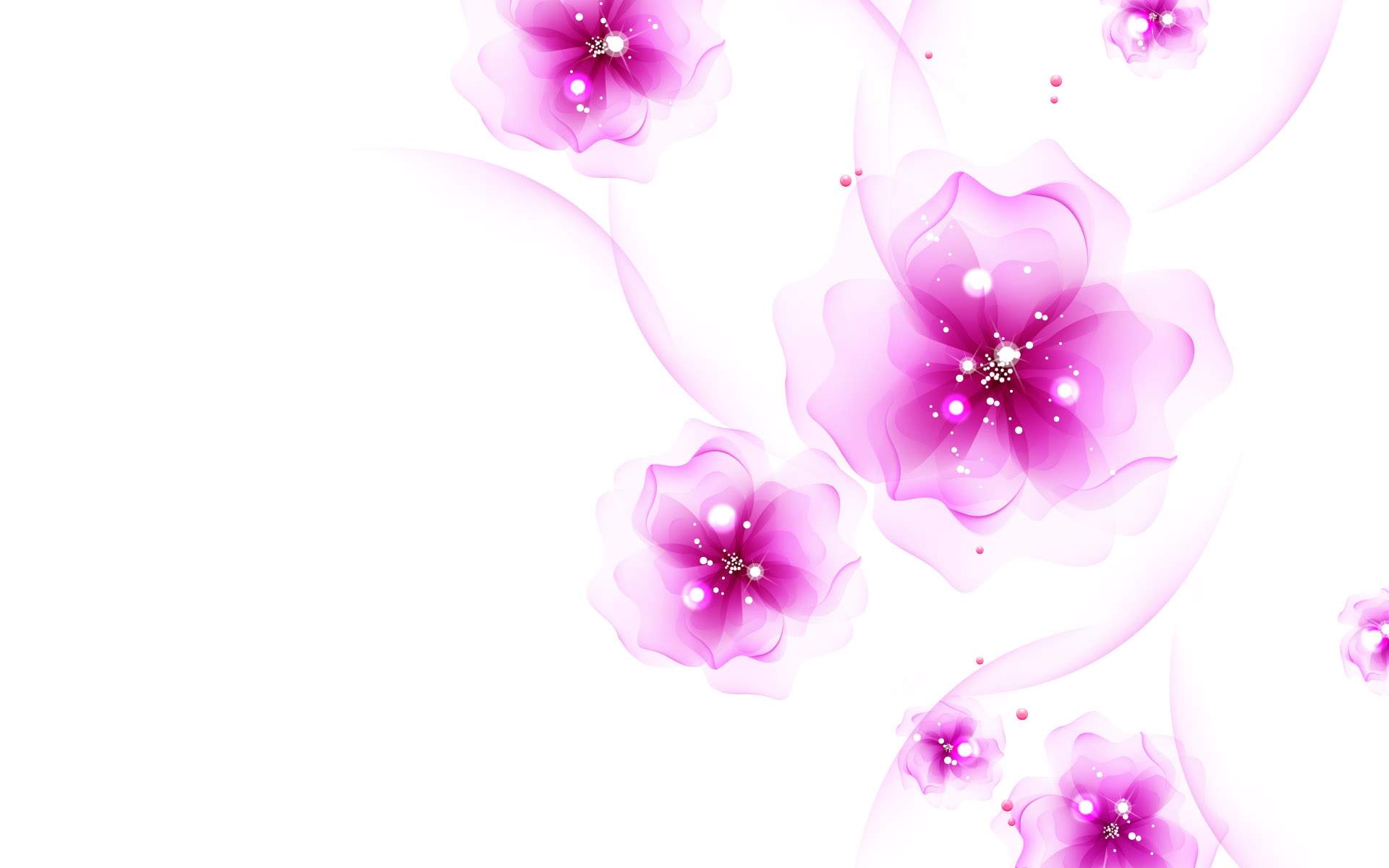 HD Pink And White Wallpaper Photos Abstract