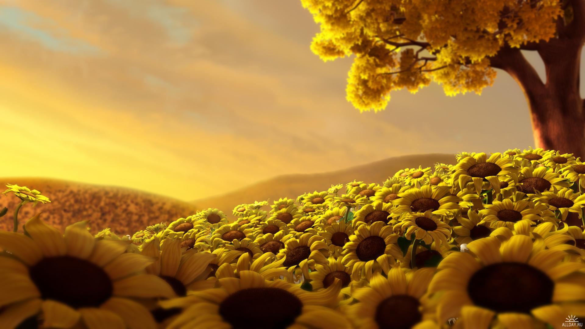 🔥 Download Yellow Beauty Nature Wallpaper HD Photo by @amandah27 | The