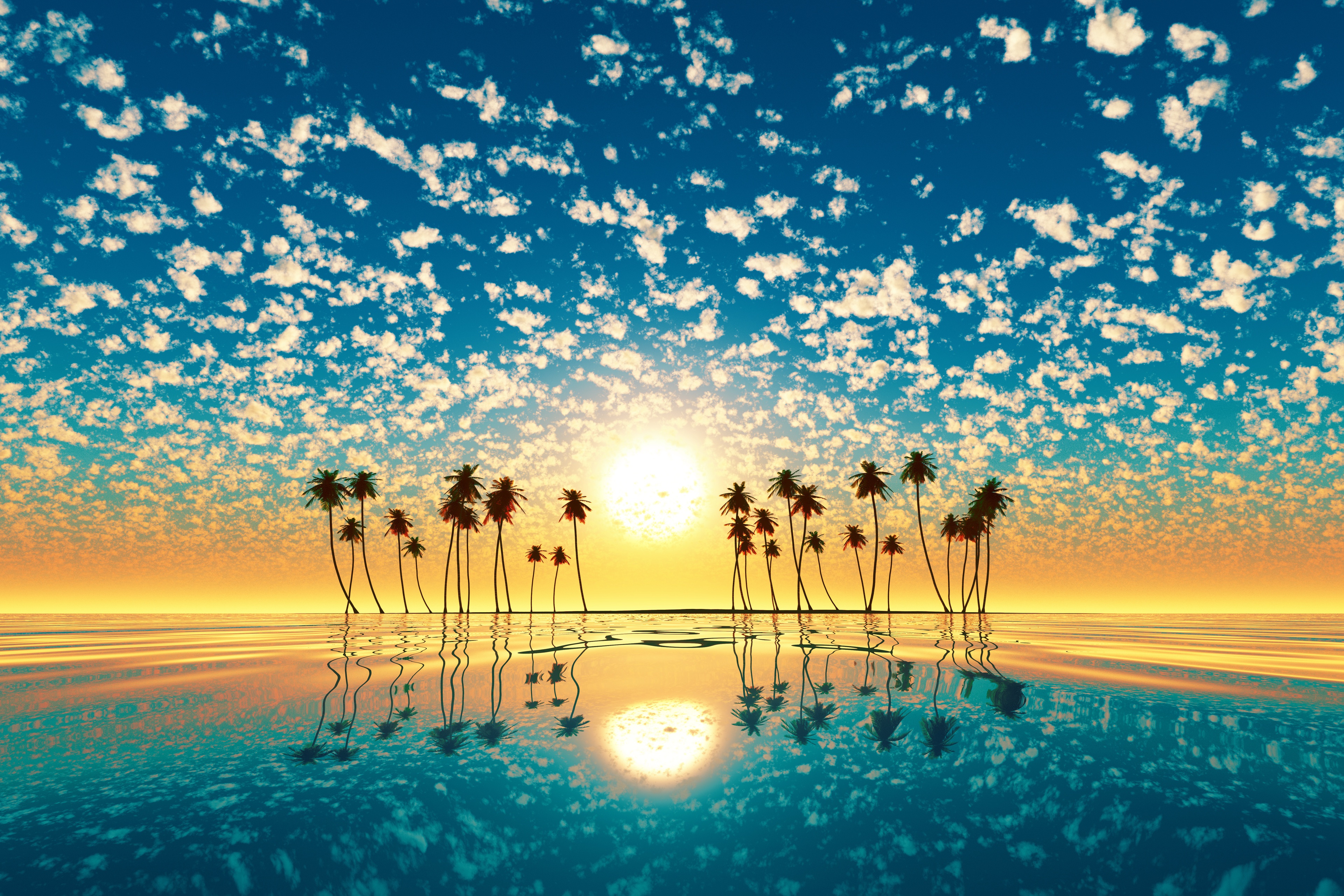 Palm Trees Reflection Sunset Wallpaper HD Nature 4k