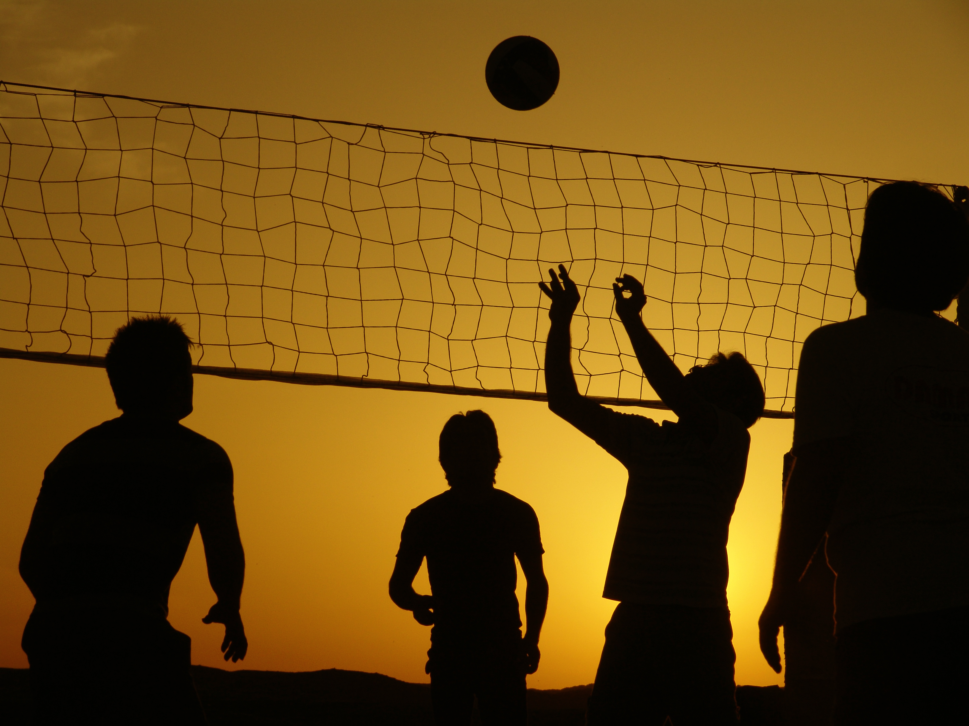 File Silhouette Volleyball Jpg Wikipedia The Encyclopedia