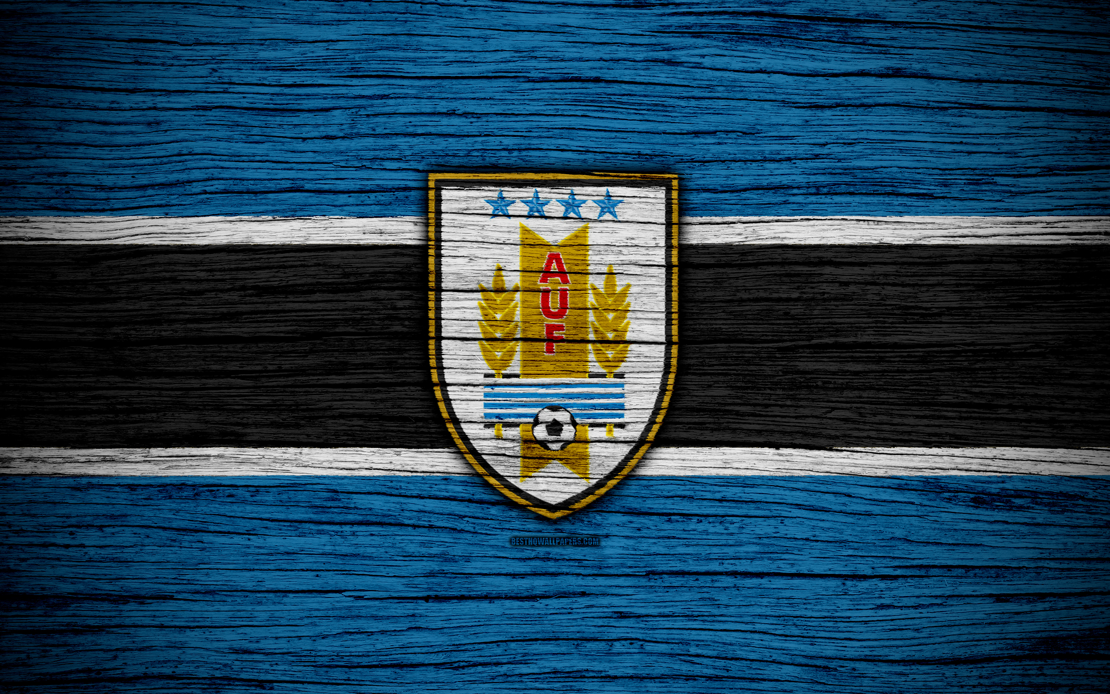 Wallpaper 4k Uruguay National Football Team Logo