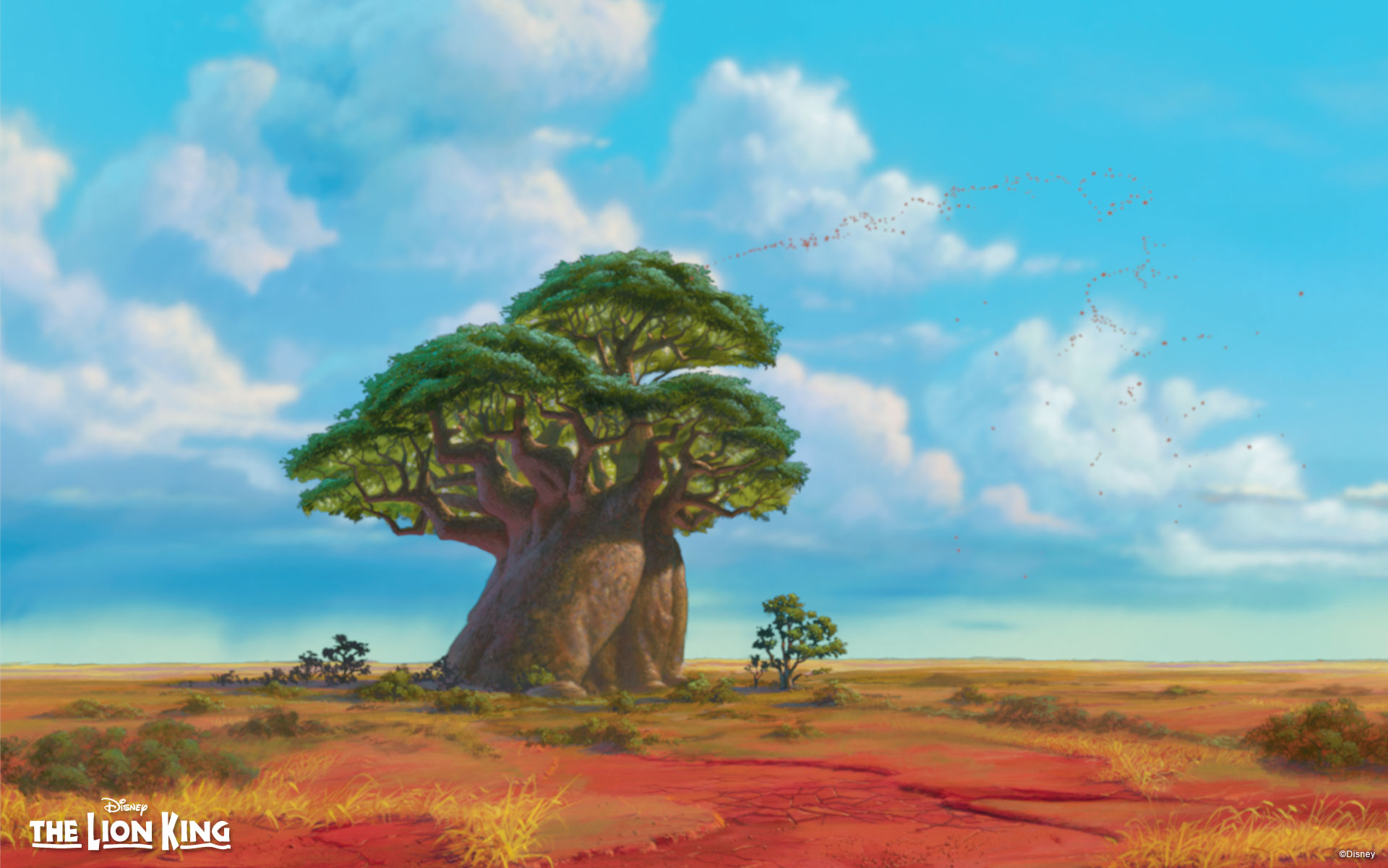 Main The Lion King HD Gallery Other Pictures Wallpaper