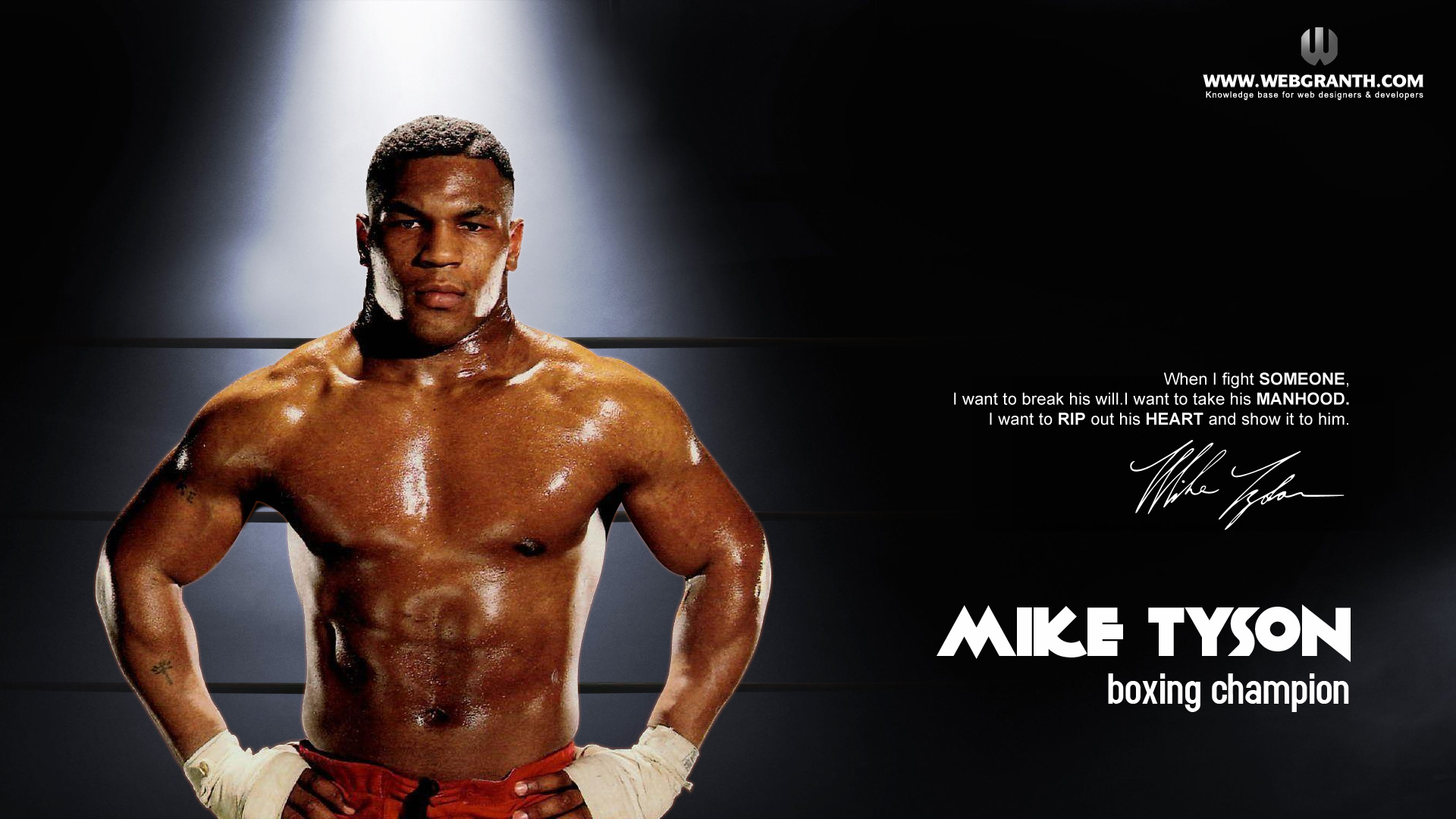 Mike Tyson Tiger High Definition