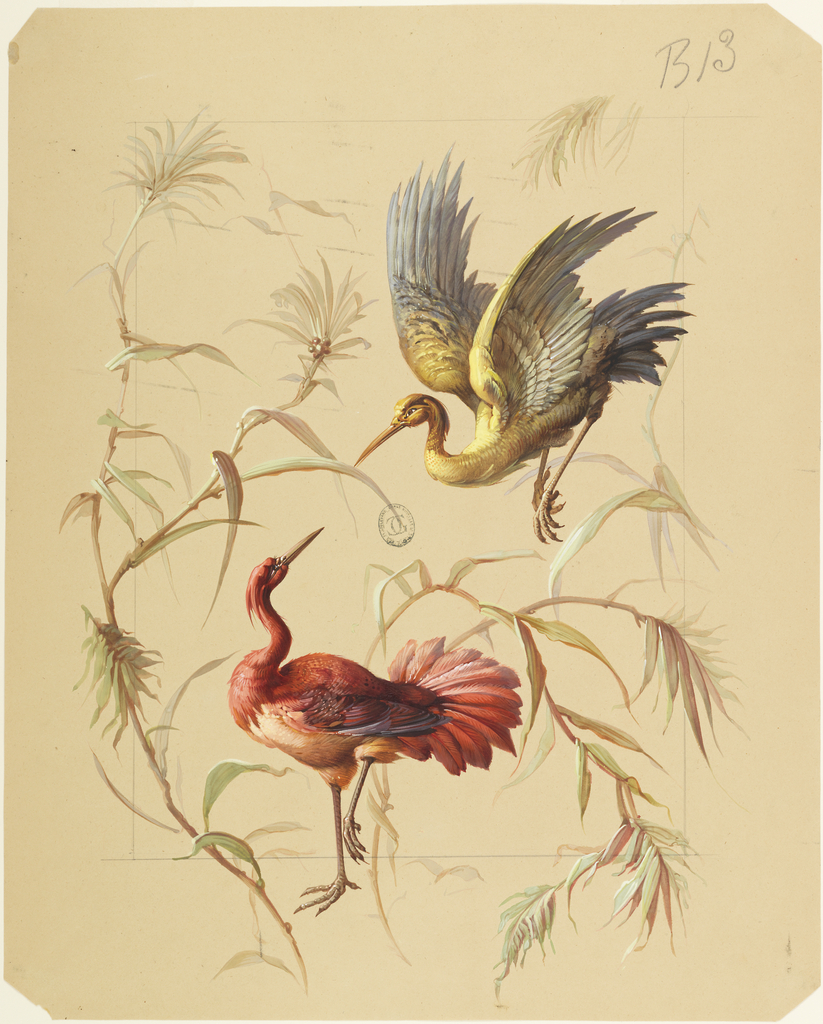 Design For Wallpaper Textiles Flowers Birds 19th Century