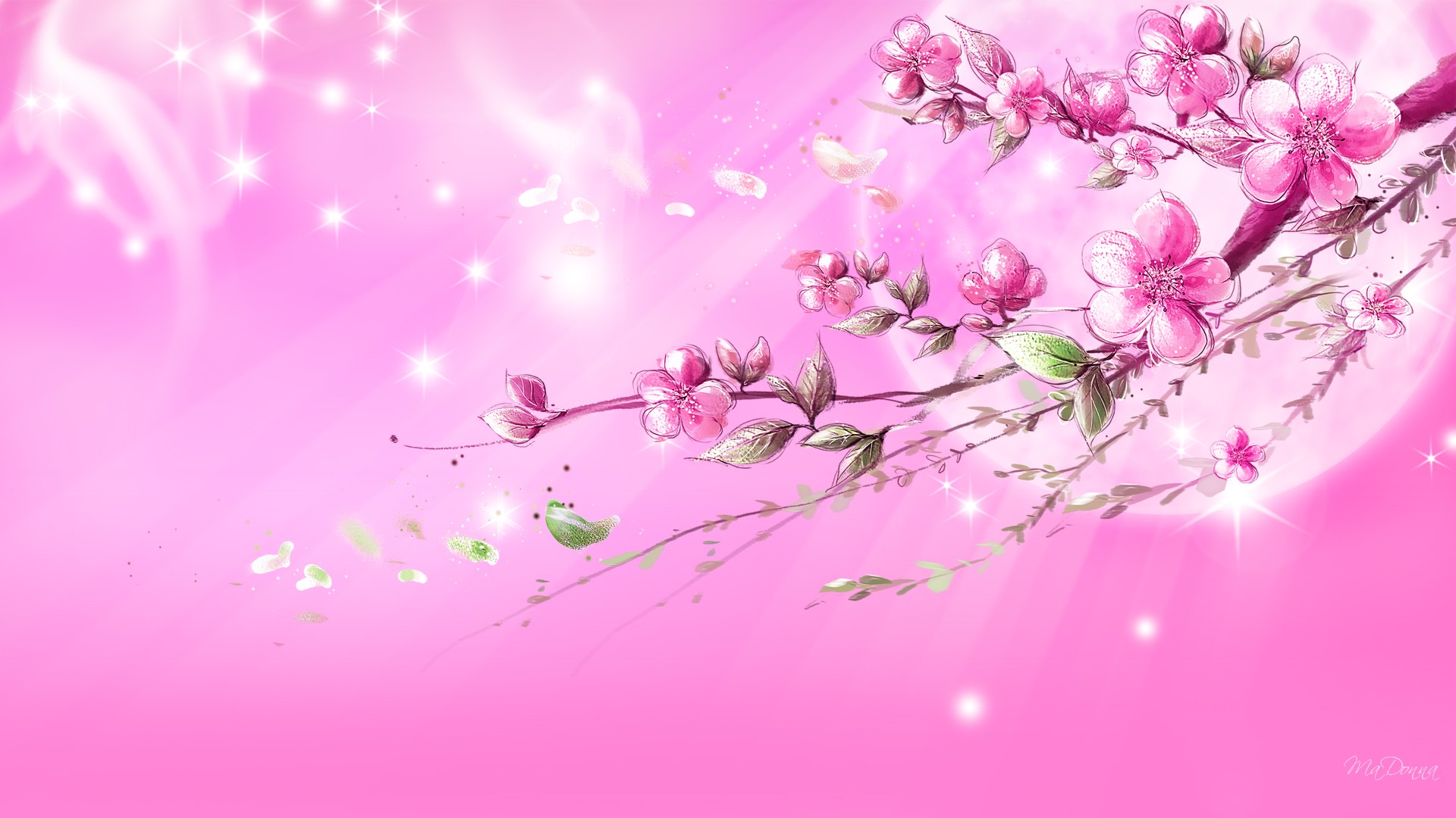 35 High Definition Pink WallpapersBackgrounds For Free