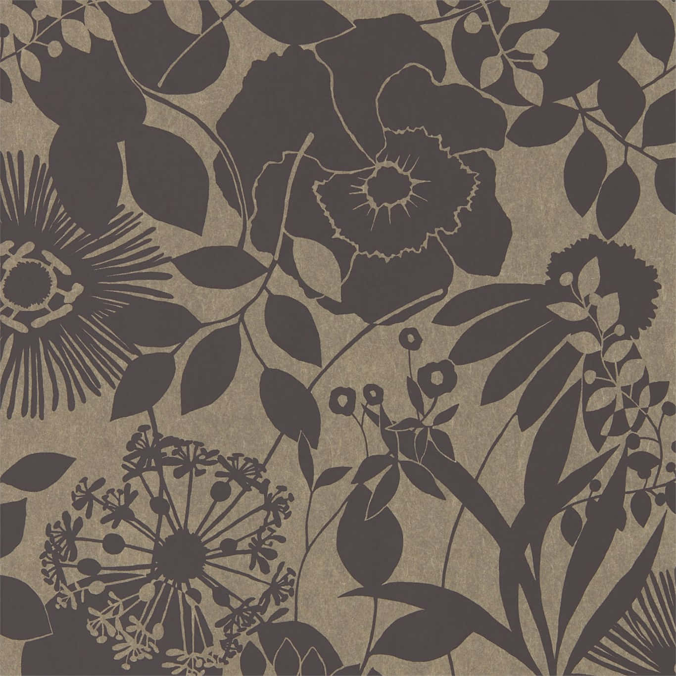 Elegant Aesthetic Wallpaper