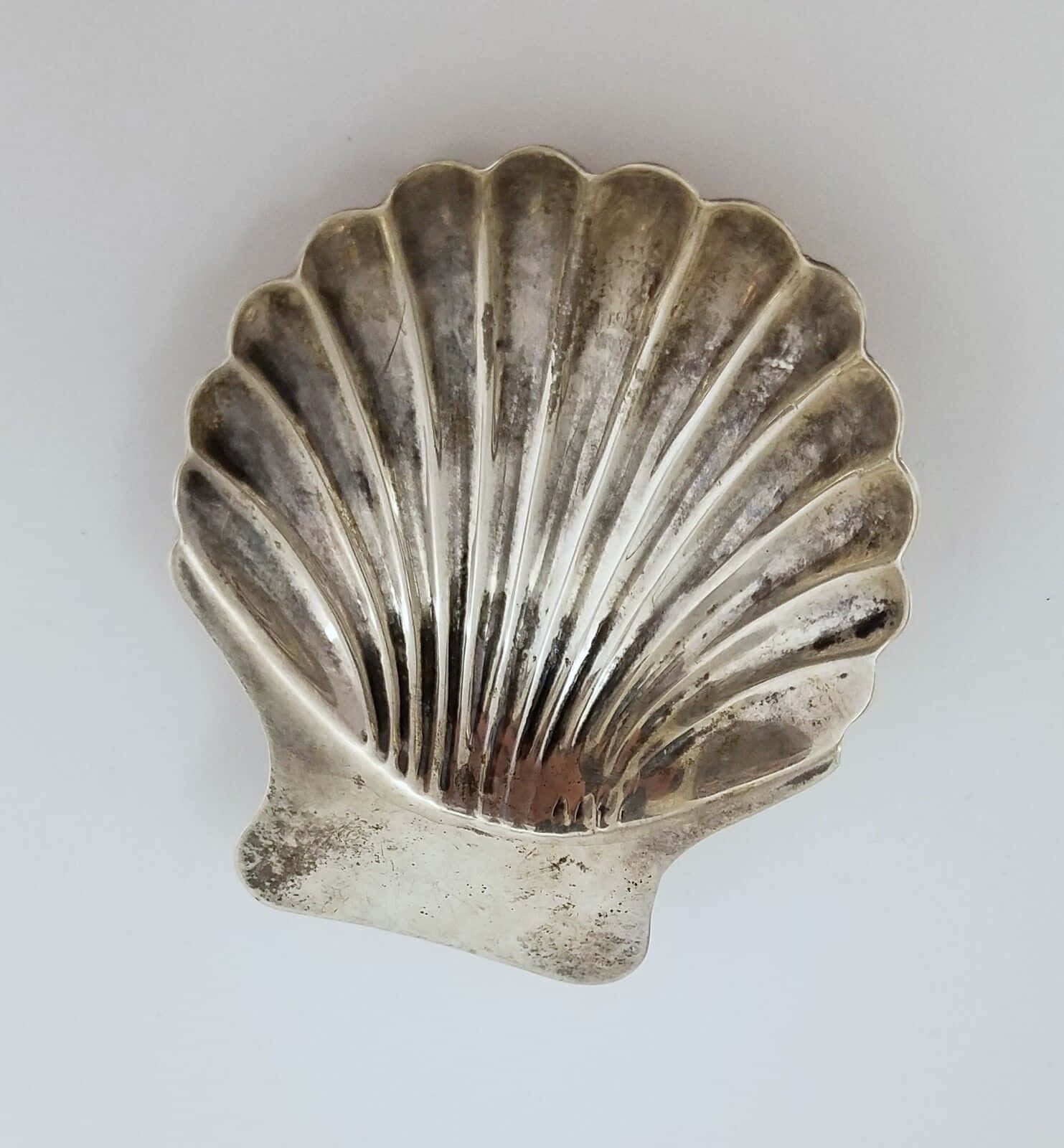 Clam Shell X Wallpaper