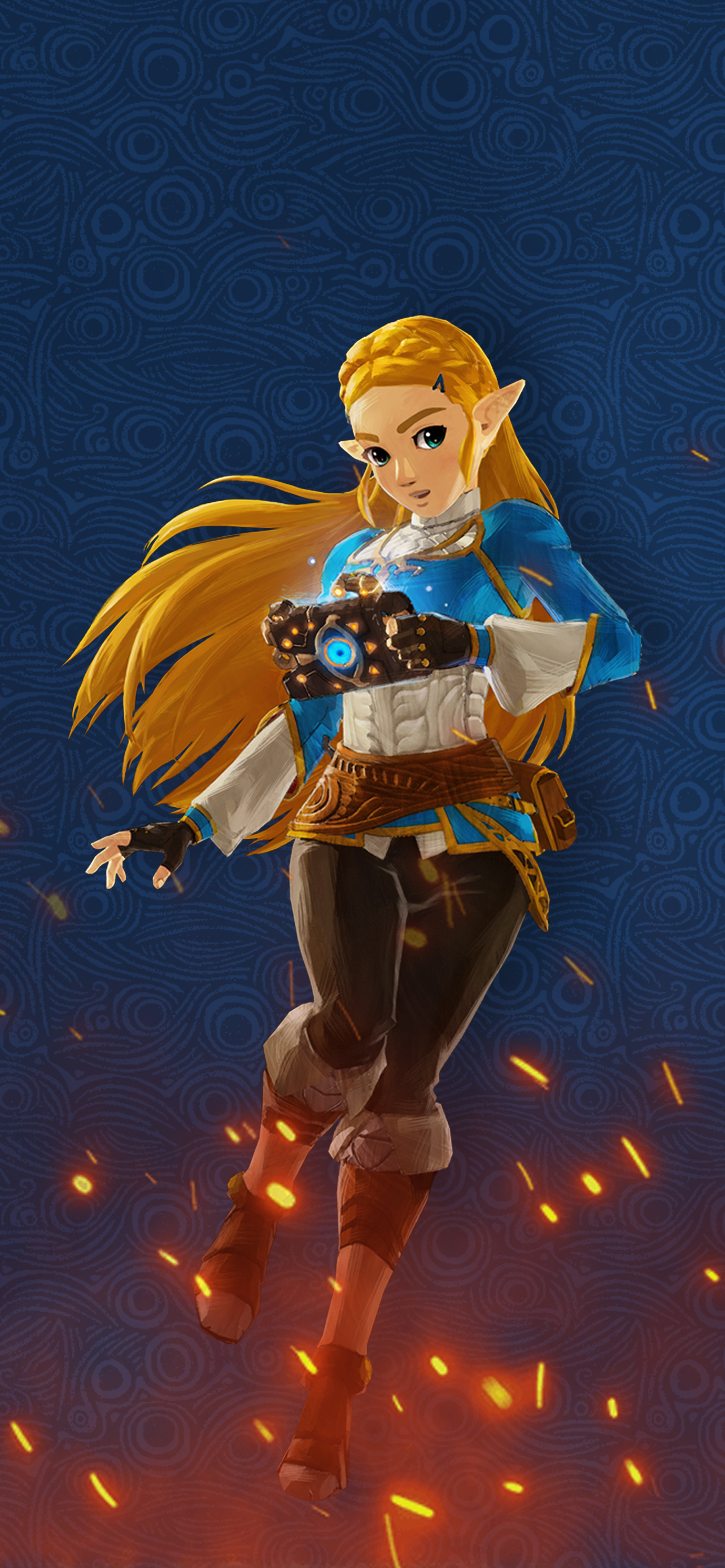 Hyrulewarriors Ac Zelda Cat With Monocle