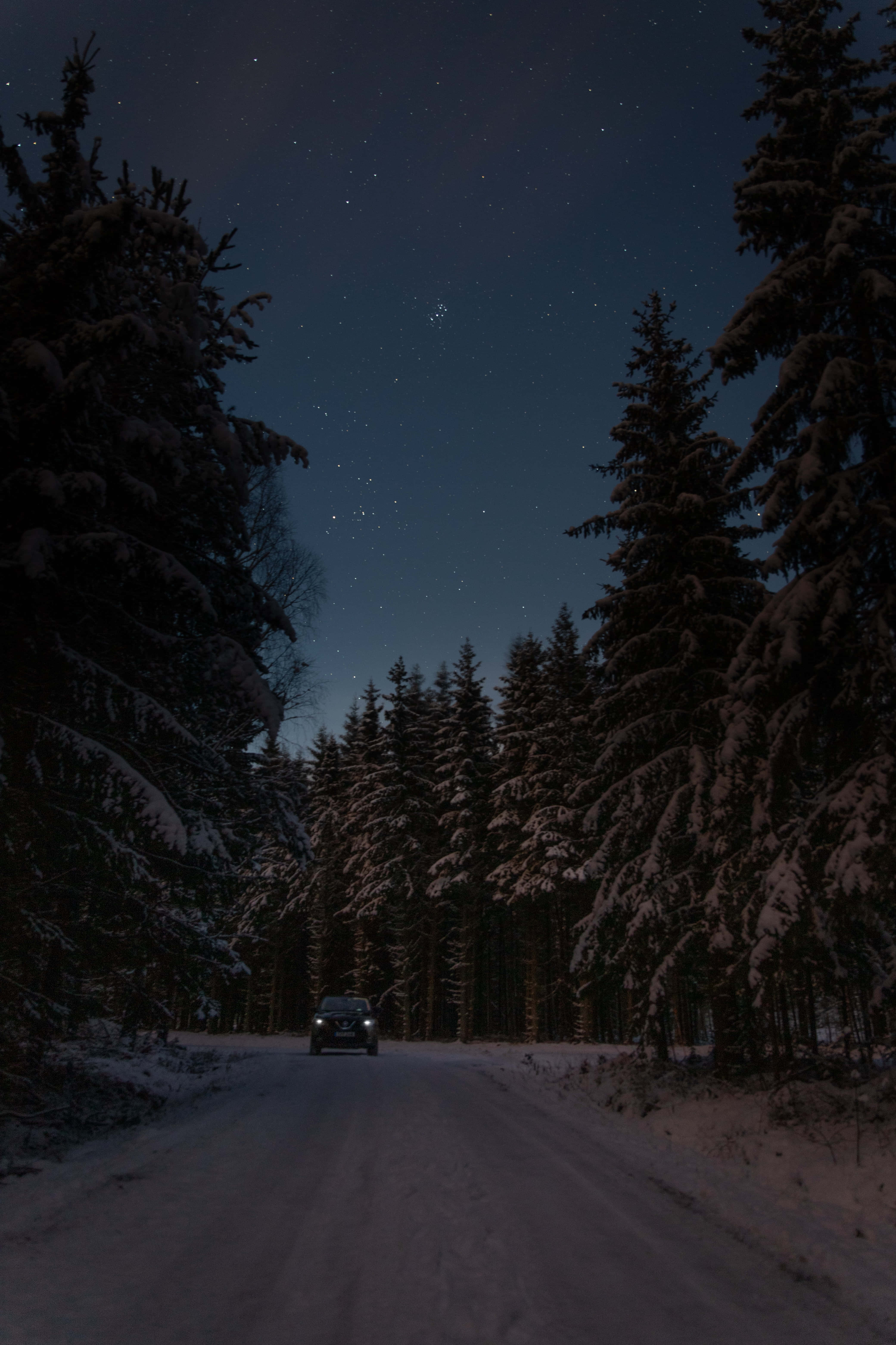 Winter Night Desktop Wallpaper