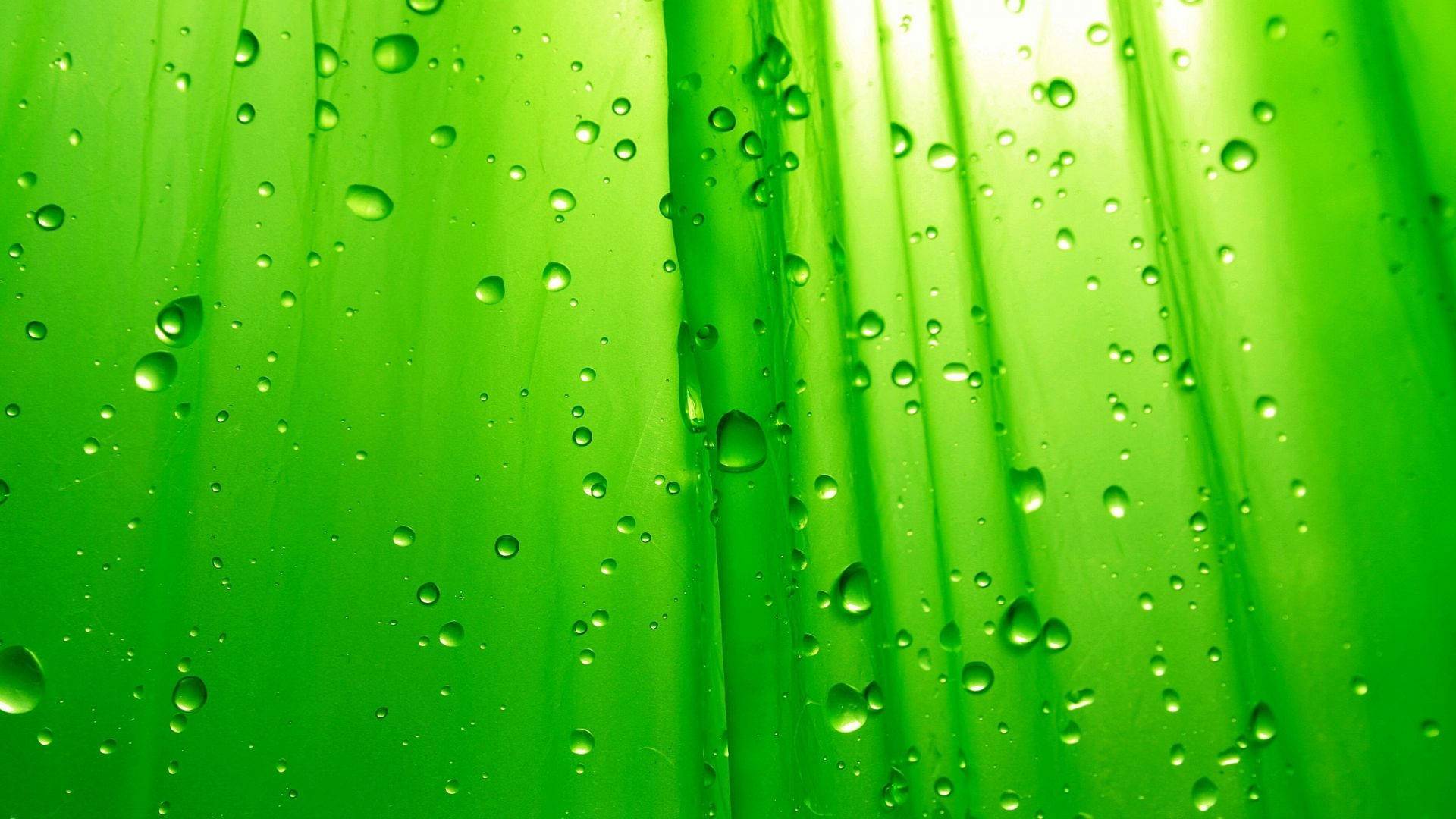 HD Green Background Wallpaper High Quality