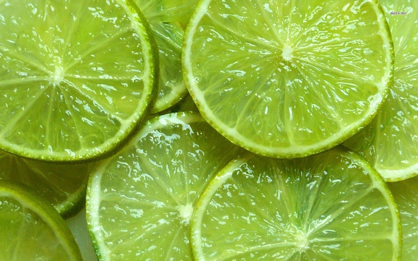 Lime Slices Photography Wallpaper Slice Cloudpix