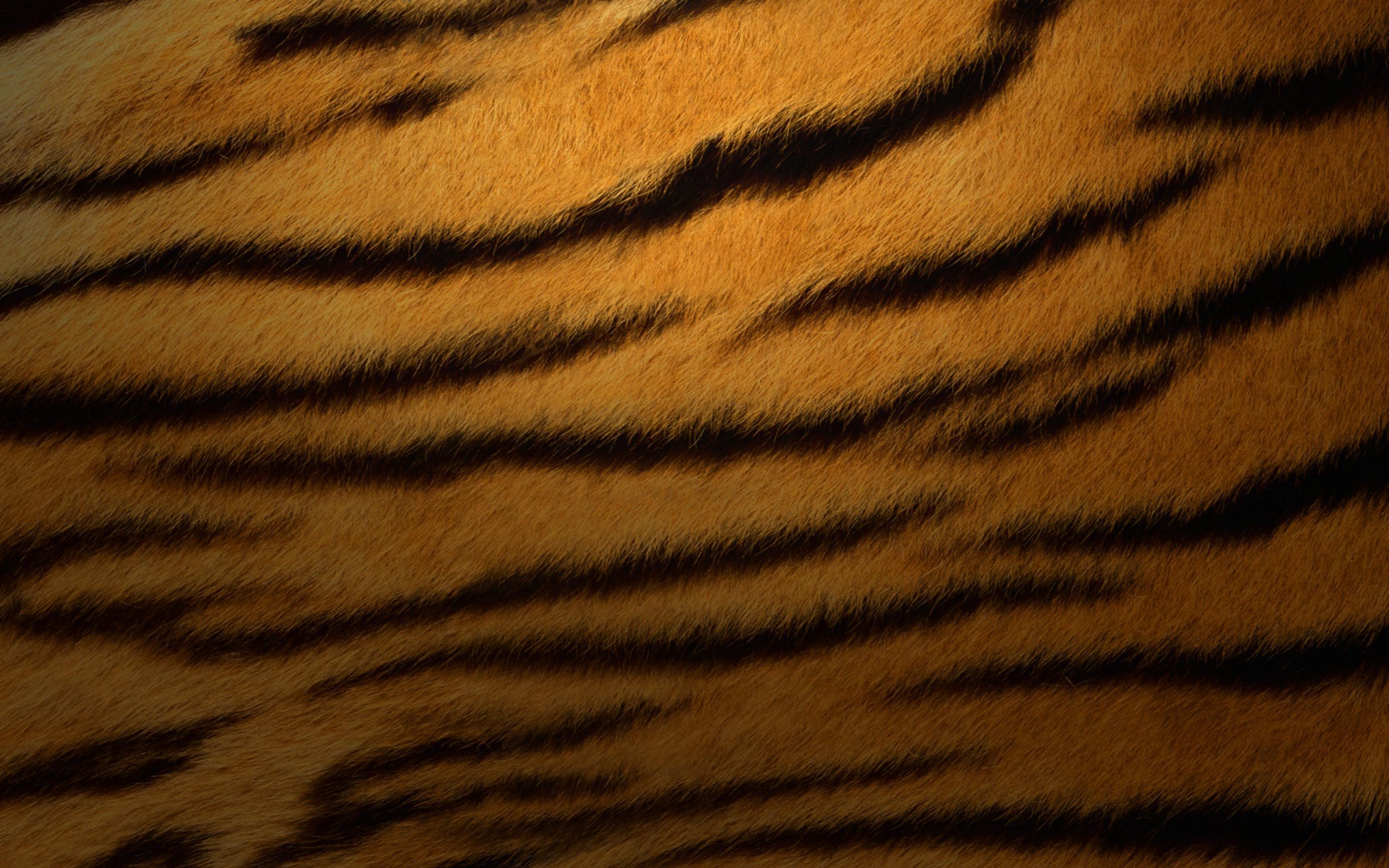 Tiger Fur Wallpaper