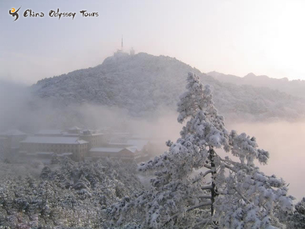 Huangshan Winter Mountain In Yellow