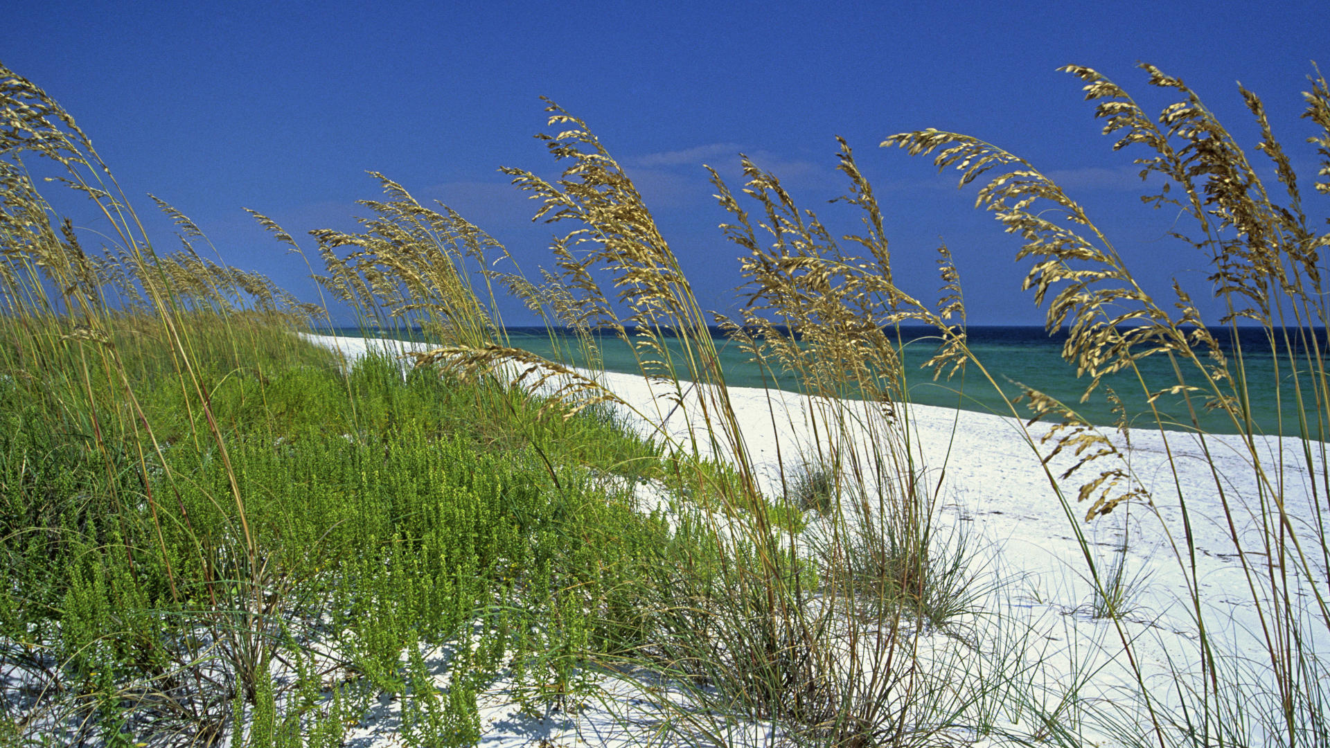 Pensacola Florida Perdido Beach Sea Background Wallpaper Nature