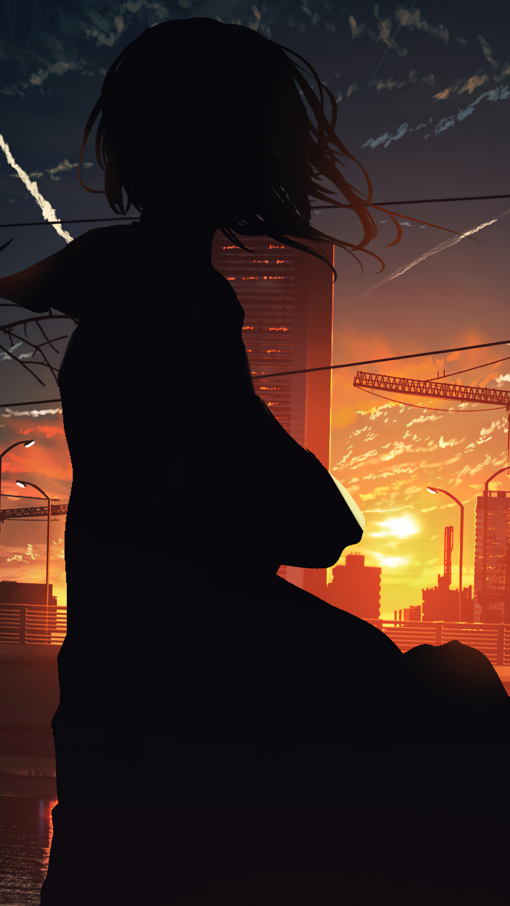 Anime Girl Silhouette Sunset City Scenery 4k Wallpaper iPhone HD