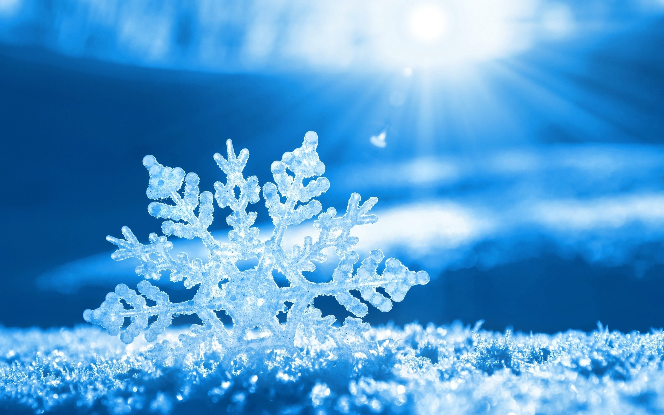 Beautiful Snowflake Wallpaper HD