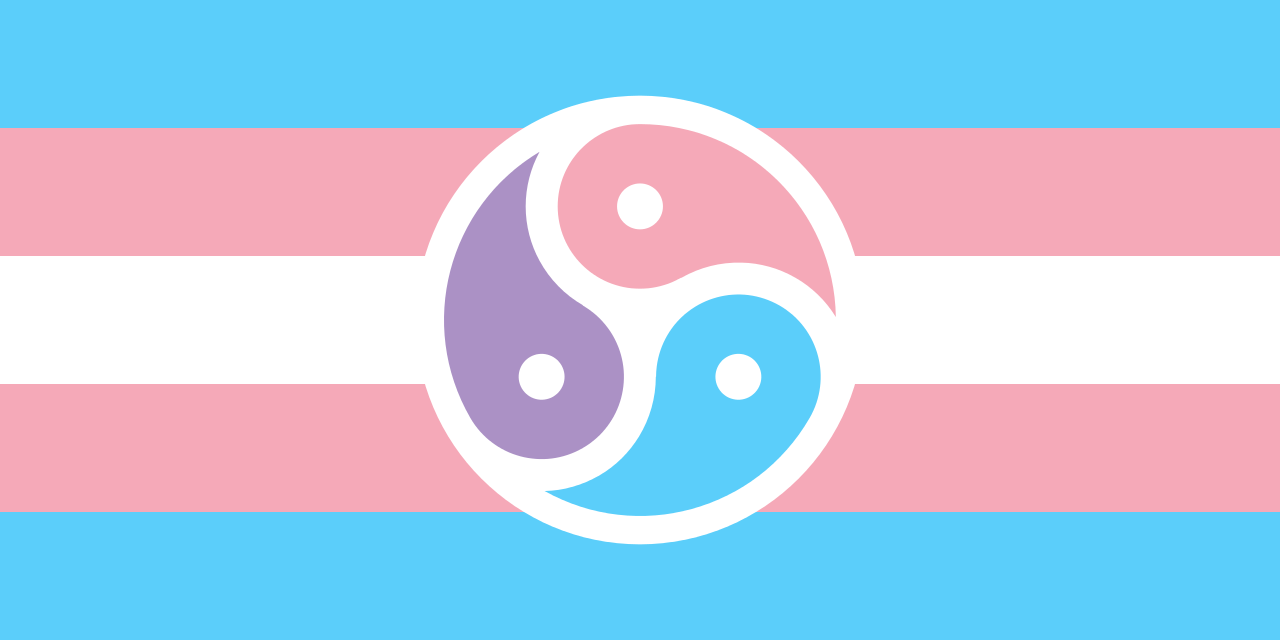 FileTransgender Bisexual BDSM Pride Flagsvg   Wikipedia the free
