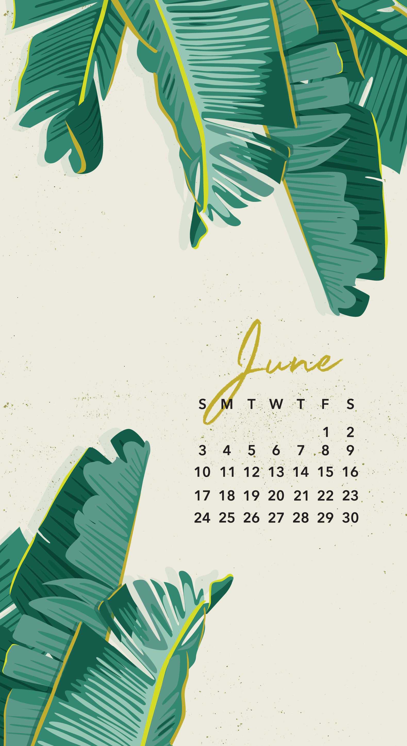 Free Download Free June 2018 Calendar Wallpaper 1579x2890 For Your 
