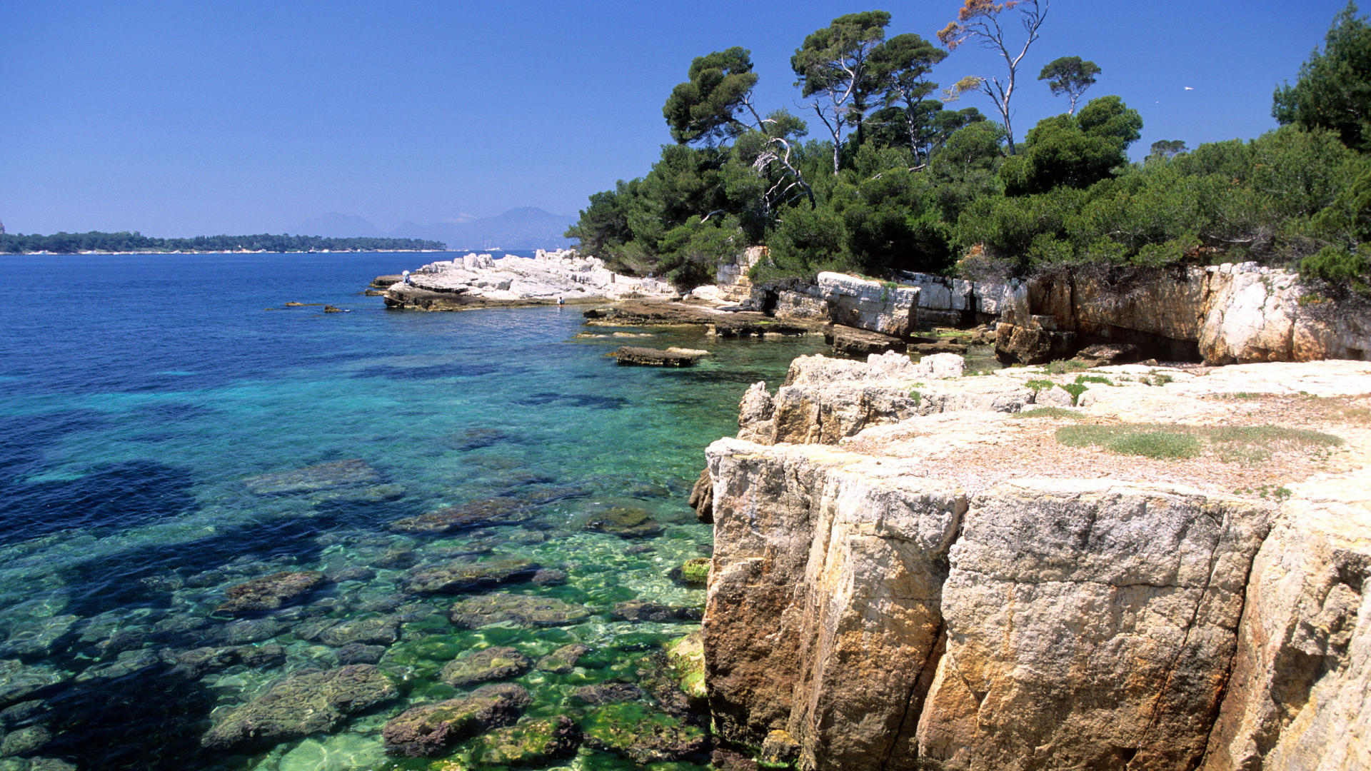 Coast resort of Antibes France wallpapers and images   wallpapers