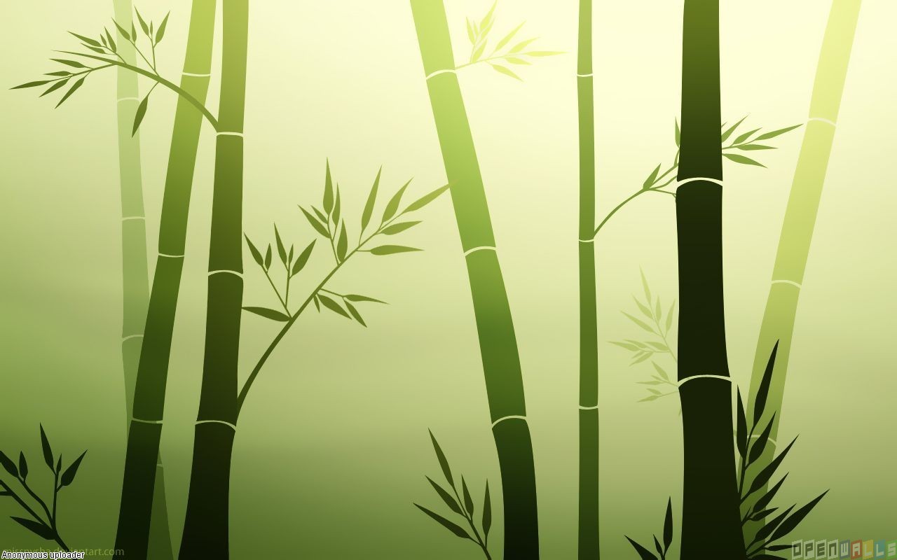 Green Bamboo Wallpaper Open Walls