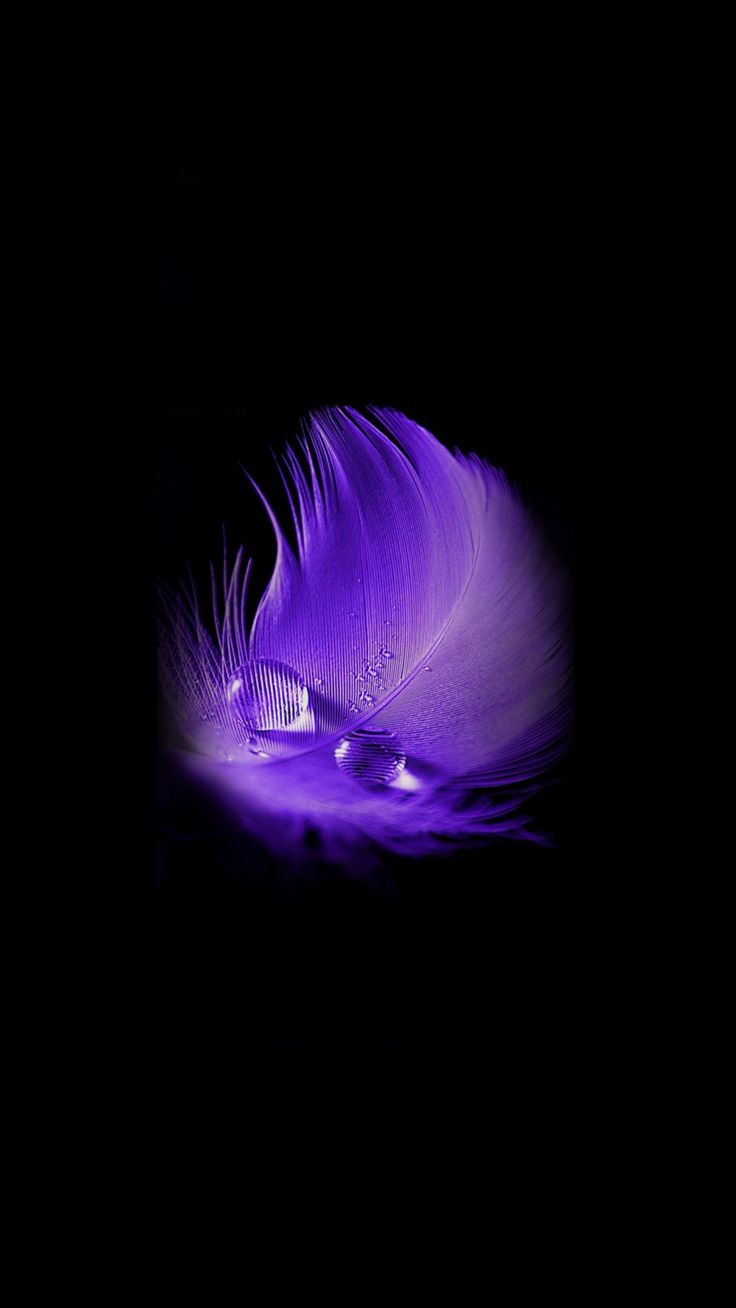 Purple Feather Drops Portrait Wallpaper