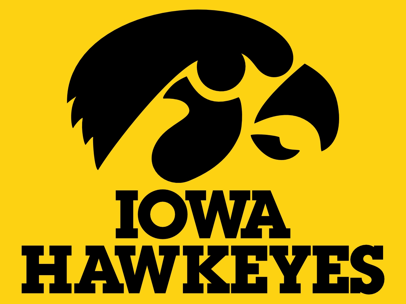 Iowa Hawkeyes 1365x1024