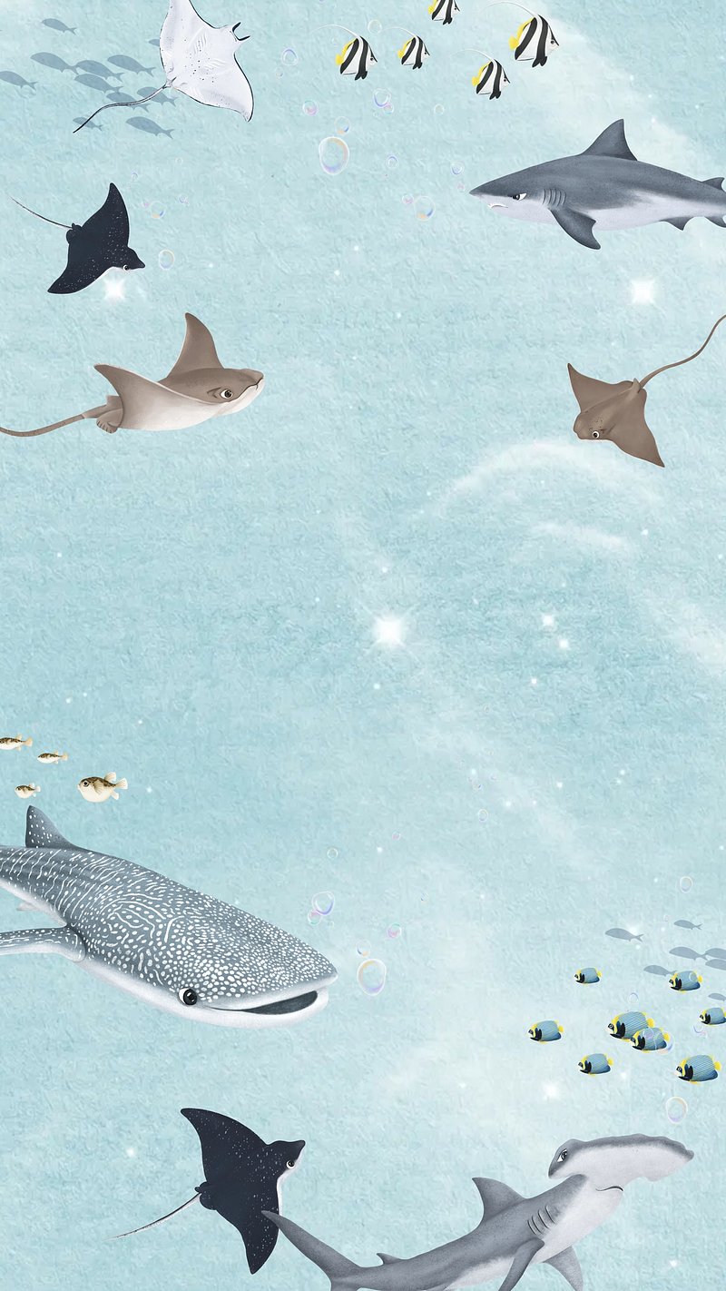 Shark Wallpaper iPhone