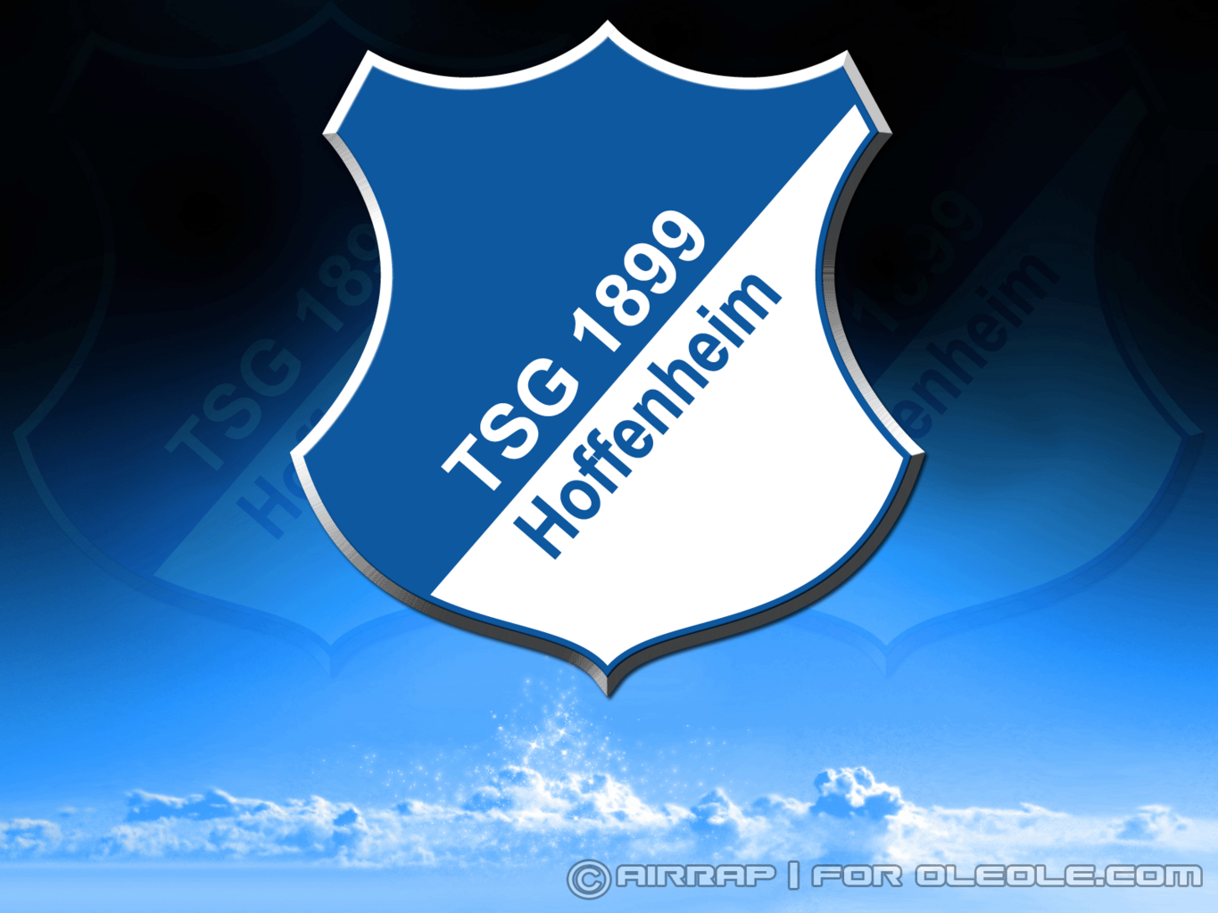 Hoffenheim Fc Logo Wallpaper Ongur