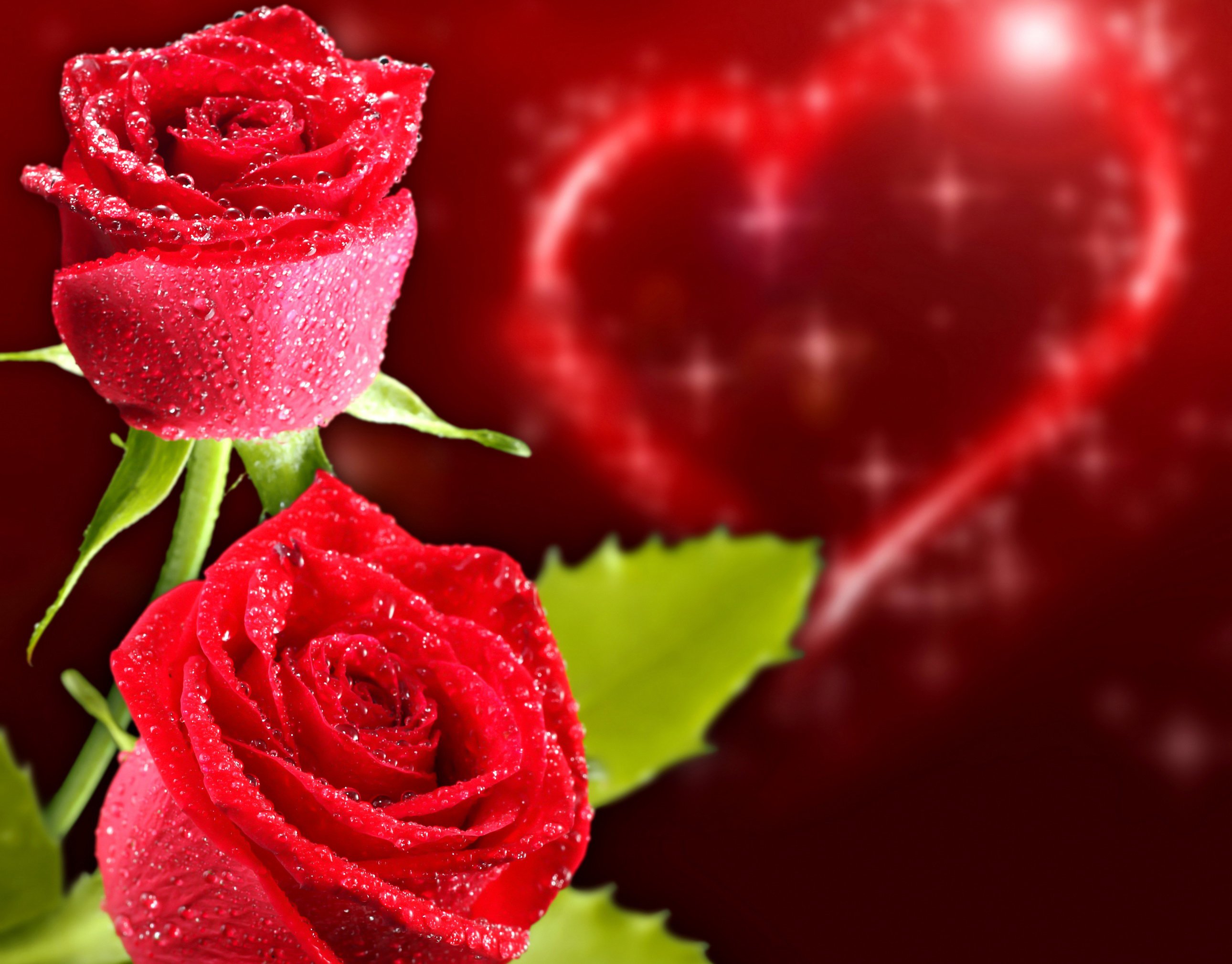 Red Roses And Hearts Image Amp Pictures Becuo