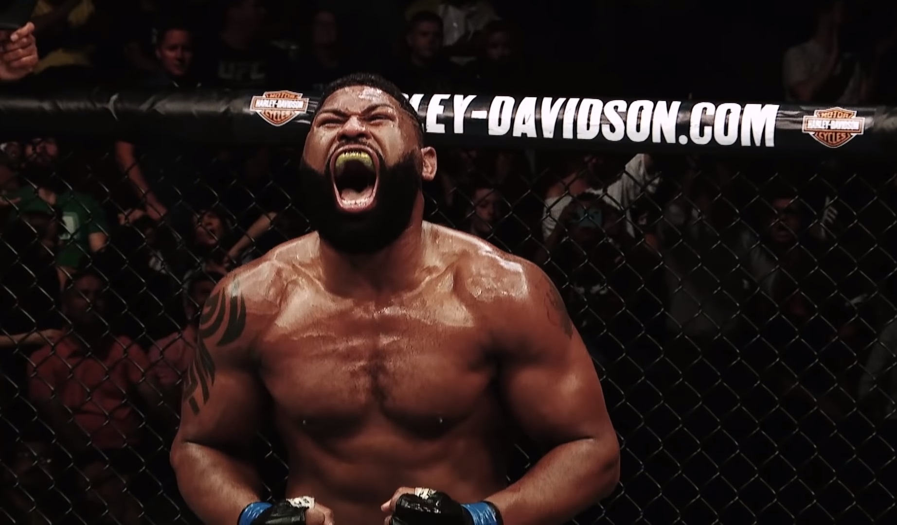 Fight Site Wallpaper