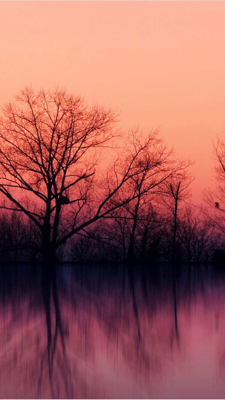 Nature iPhone Wallpaper Bare Trees At Sunset Photos Of Best