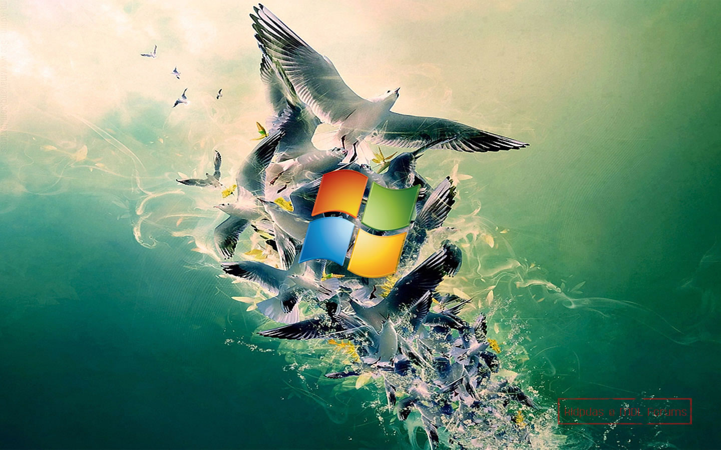 Windows8 Wallpaper
