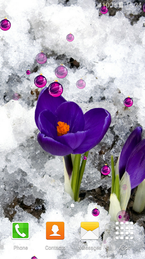 Winter Flowers Live Wallpaper Android Apps On Google Play