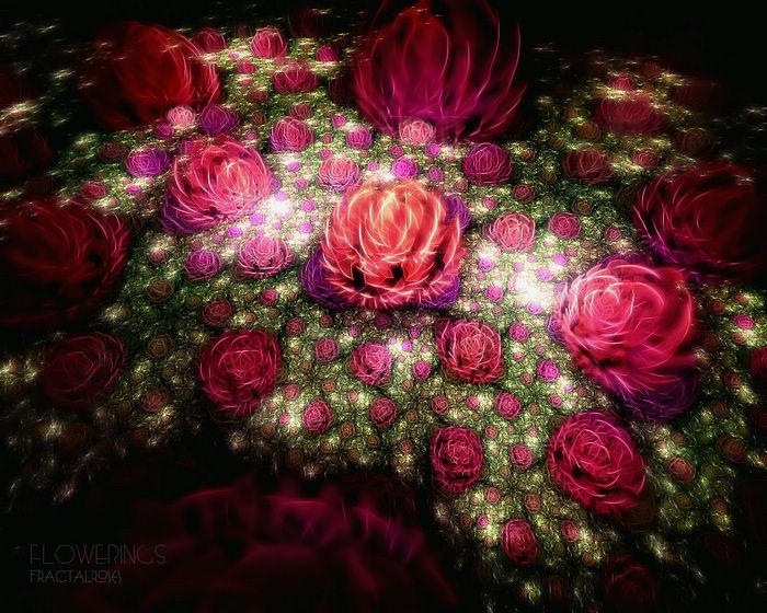Rose Garden Wallpaper Desktop Pictures
