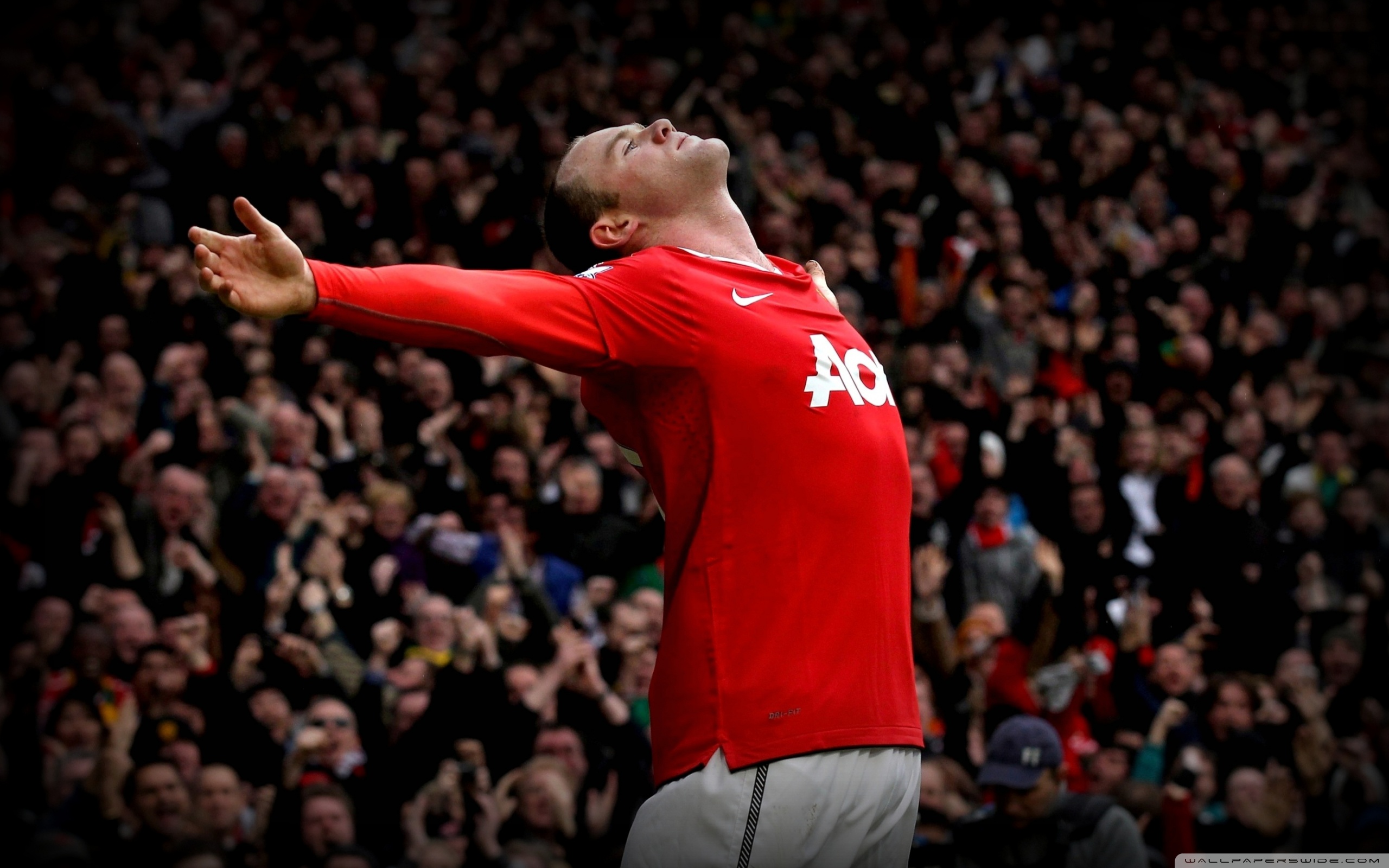 Wayne Rooney Manchester United 4k HD Desktop Wallpaper For