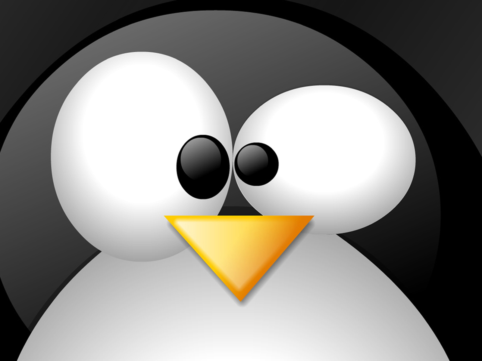 Linux Wallpaper Penguin Upclose Desktop Hd