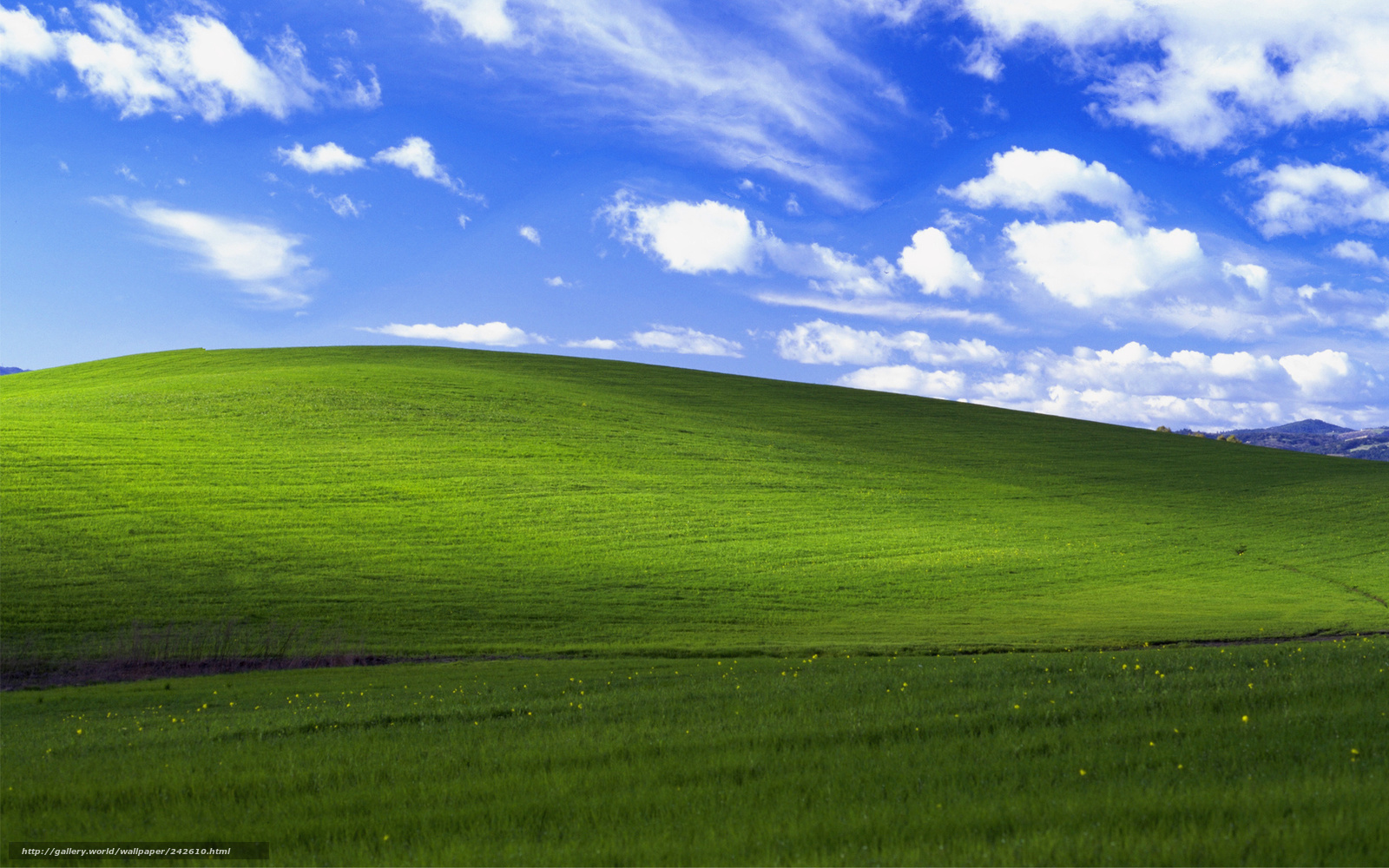 wallpaper bliss bliss Windows XP meadow free desktop wallpaper