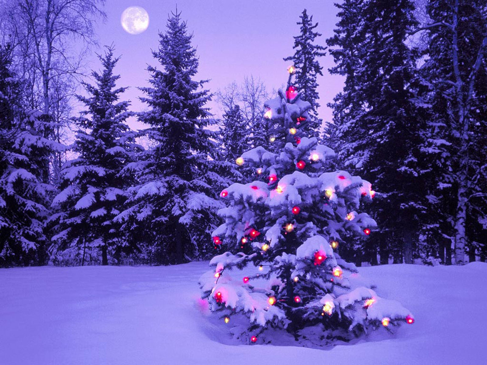 A Christmas tree covered in snow and decorated with colorful lights, stands in a snowy forest at dusk, with a full moon in the background