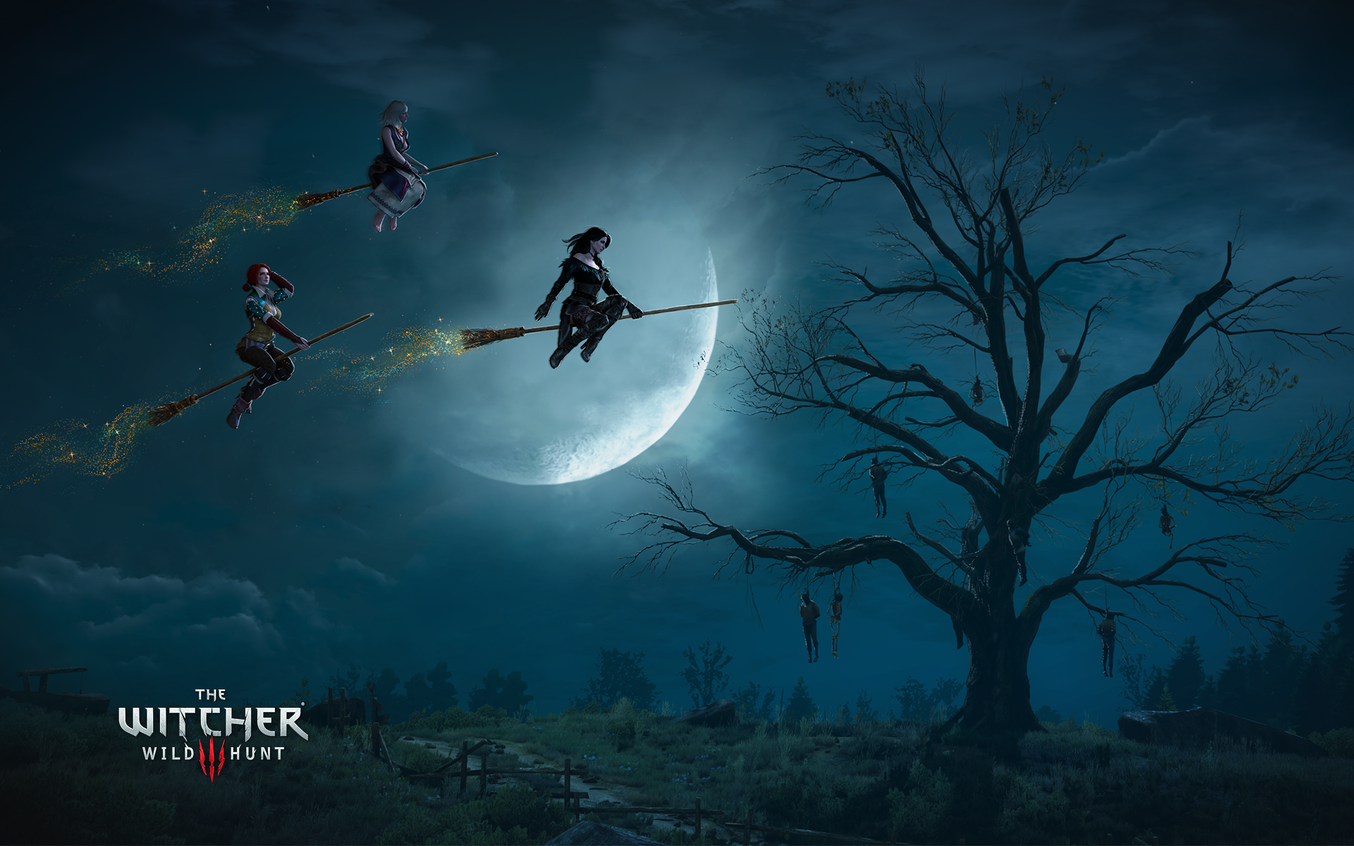The Witcher Wild Hunt Official Website