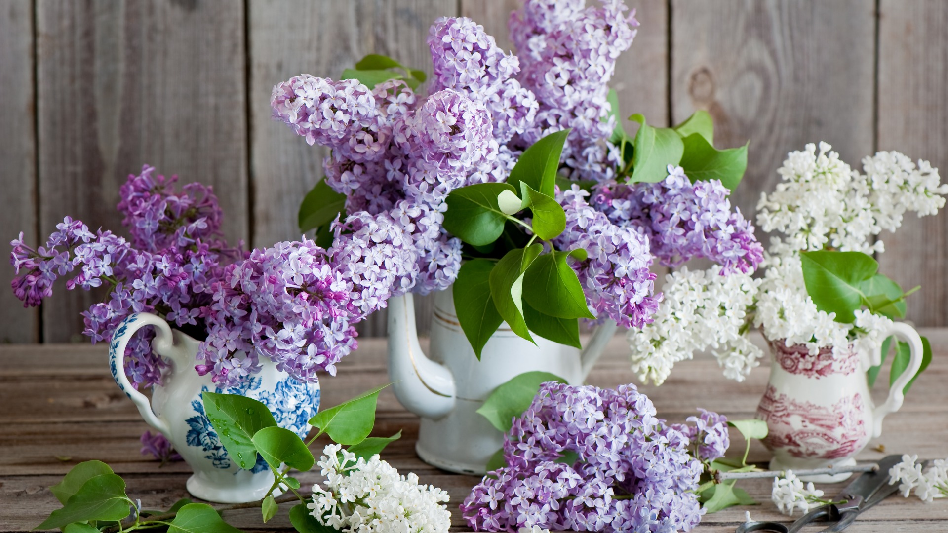 Download wallpaper Lilac bouquet