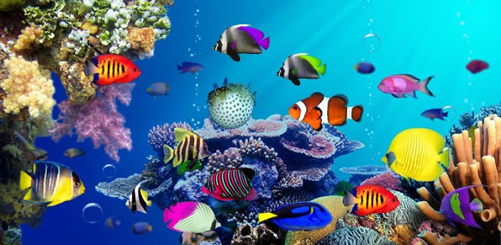 Vivid Live Wallpaper Under Water Allow You To See The Beauty Of