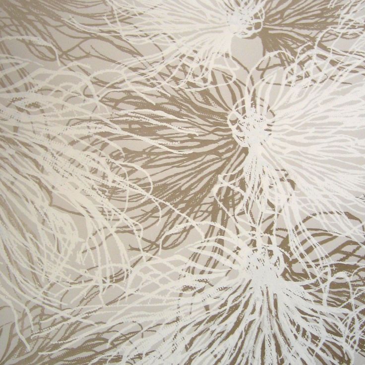 Anemone Wallpaper By Jill Malek Wallcoverings