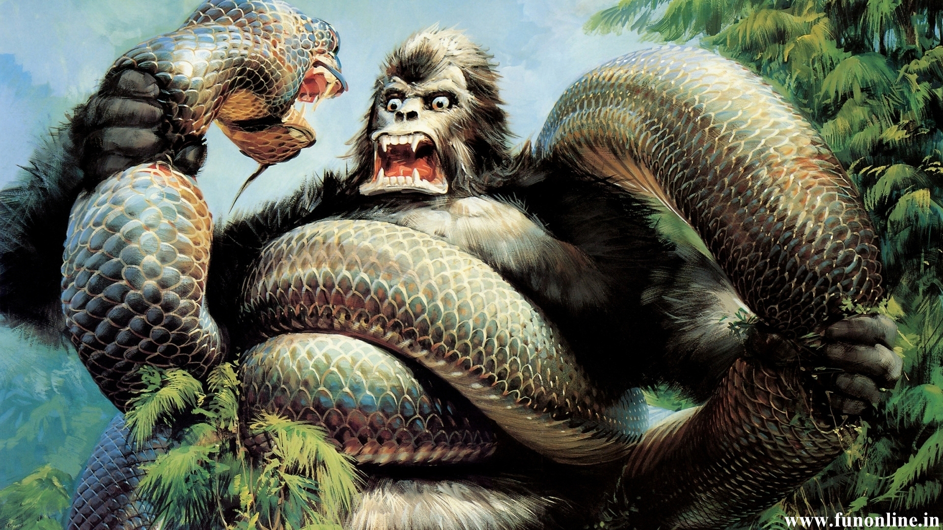 Snake Fight Wallpaper Animal Wildlife