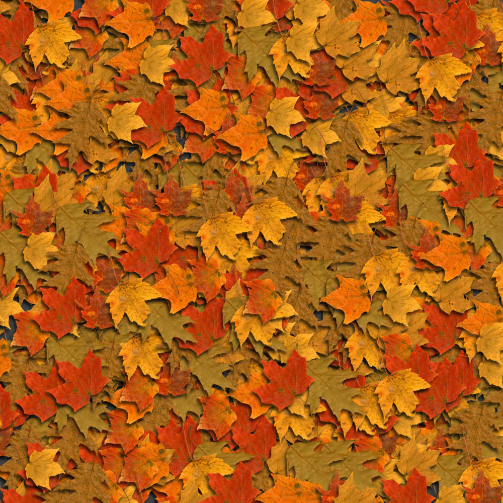 Fall Leaves Background Themes