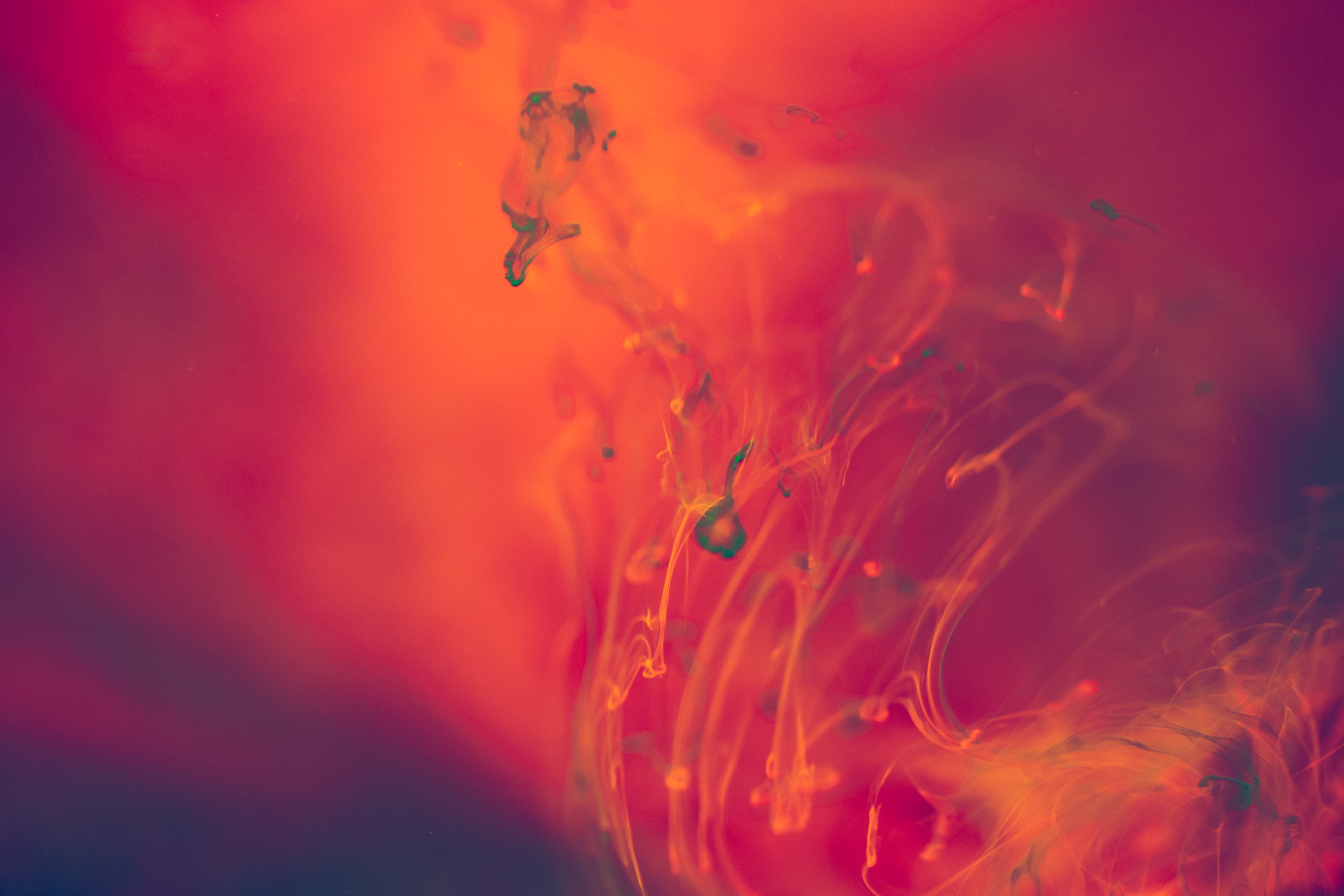 Abstract Red And Orange Liquid Background Stock Photo Picjumbo