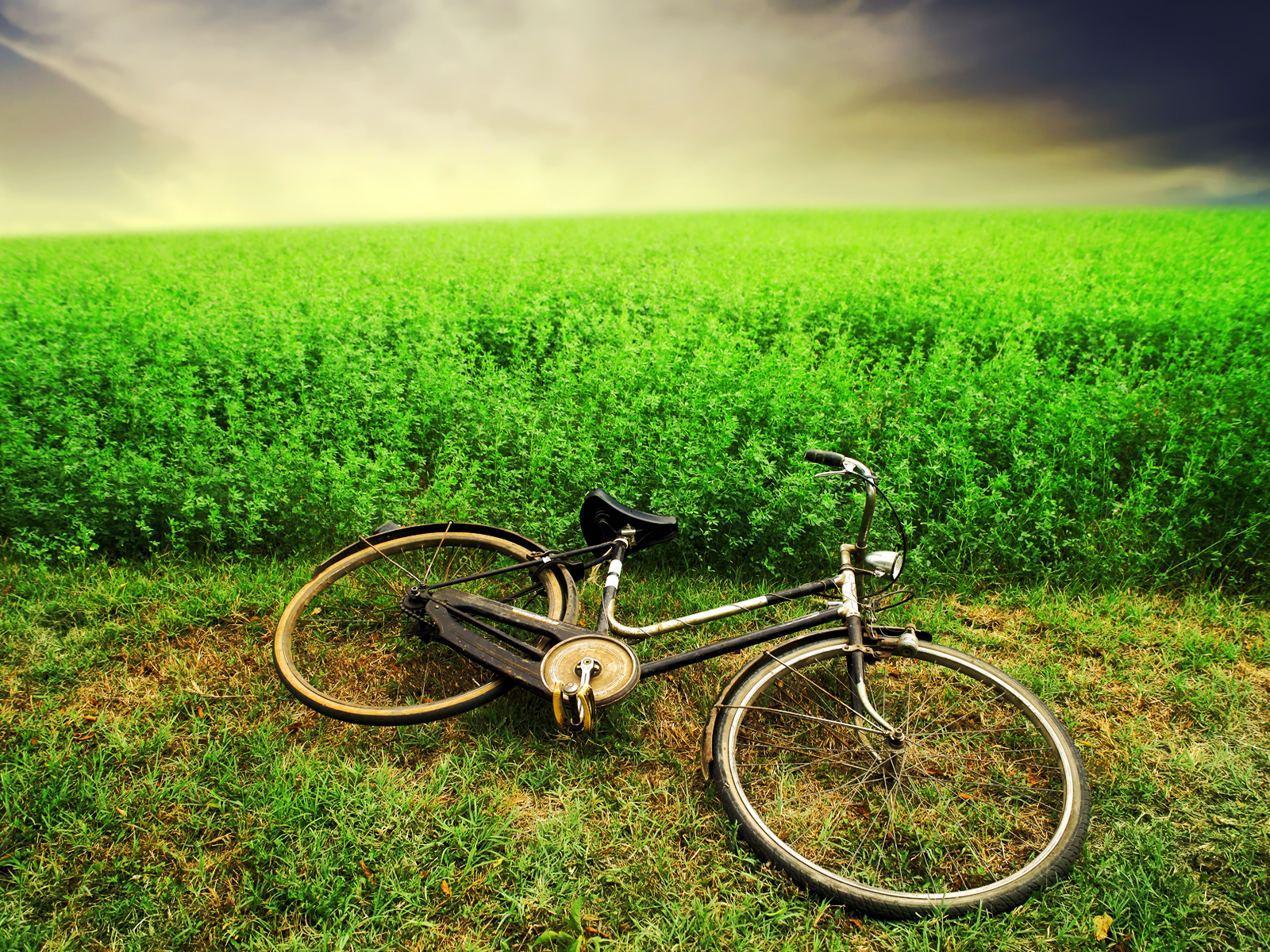 Bicycle Wallpaper Cheney S Torture Legacy Won T Go Away